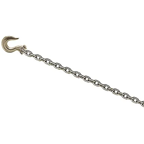 CHAMP® 8-Foot Chain with Clevis Slip Hook 1021