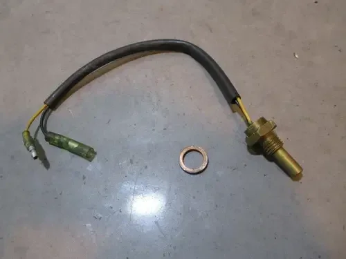Polaris Dragon 700 Water Temp Sensor 2008 #4