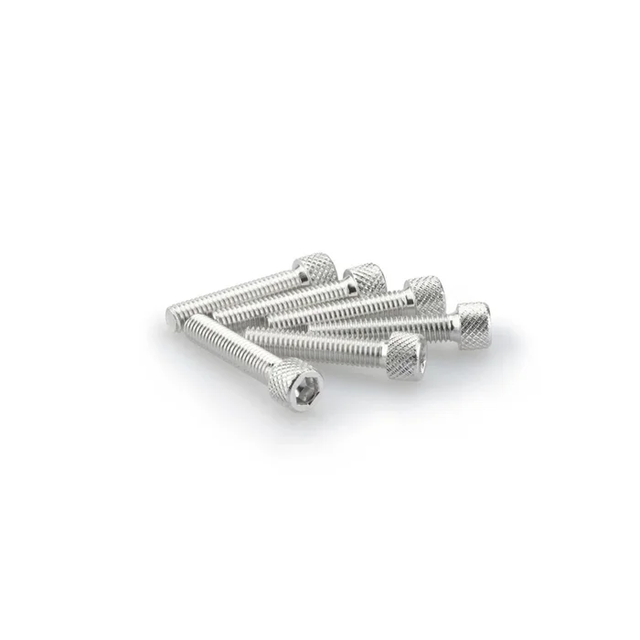 Puig Allen Screw Kit – M6X30mm – Silver 0258P