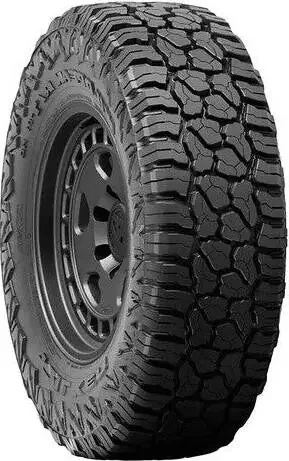 Wildpeak R/T01