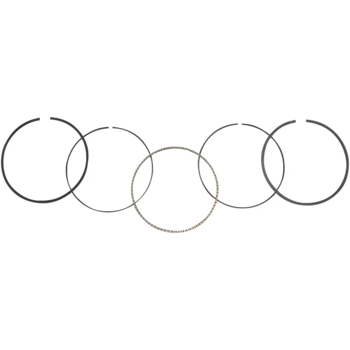 WSM Ring Set [MPN: 51-226-05]